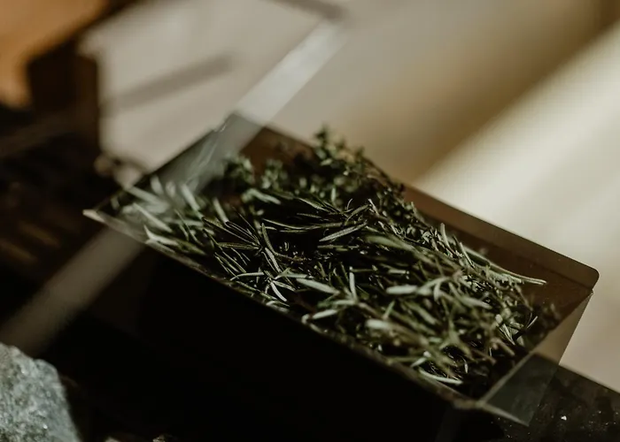 The Hearts - Dein Boutique- Und Event-resort فندق برونلاغ